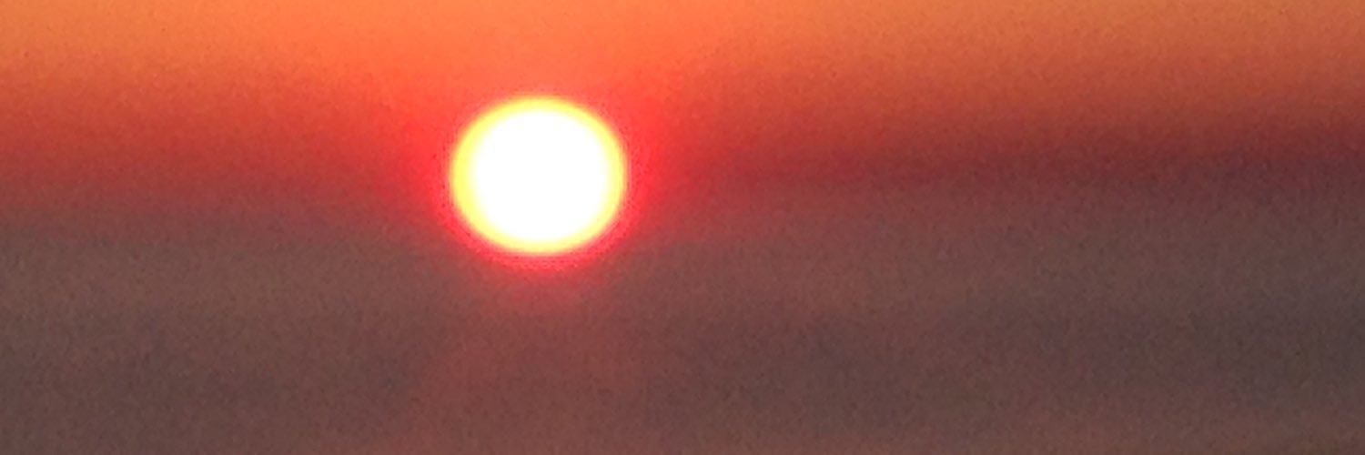 Katie Ilkovich banner