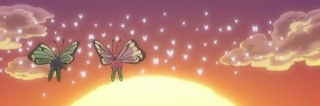 sandrajordan27's profile banner image