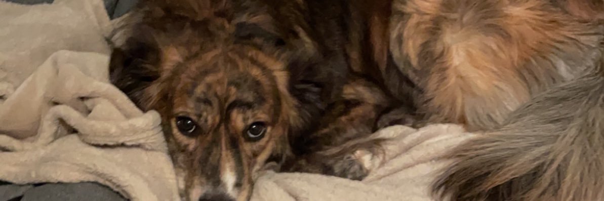 Charbuddy12's profile banner image