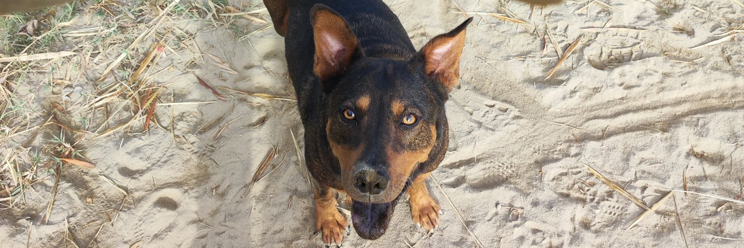 not.found.me🍄 banner