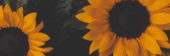 _ReeRee92's profile banner image