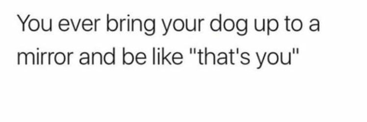 Emily Becraft banner