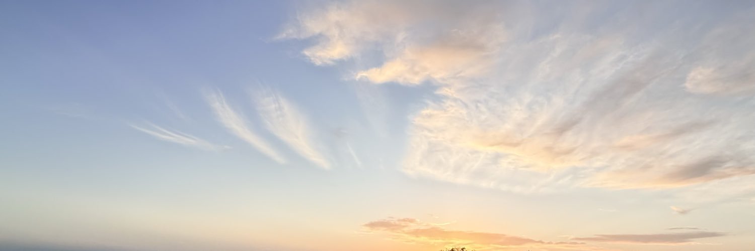 Beephotographyl's profile banner image