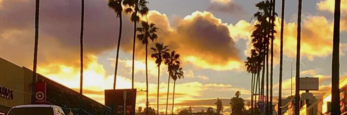 shanebeebe's profile banner image