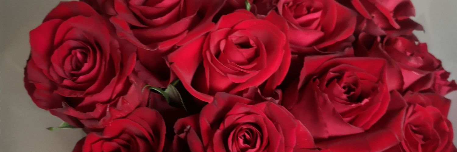 Victoria_Ankrah's profile banner image