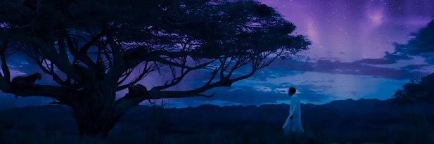eej_o's profile banner image