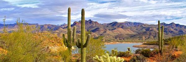 AZJoeD Profile Banner