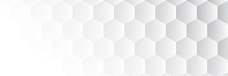 hnnhfernandes's profile banner image