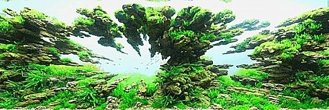 温泉たまご（羽化） banner