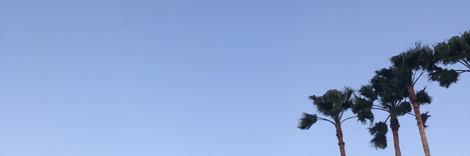 rodasal's profile banner image