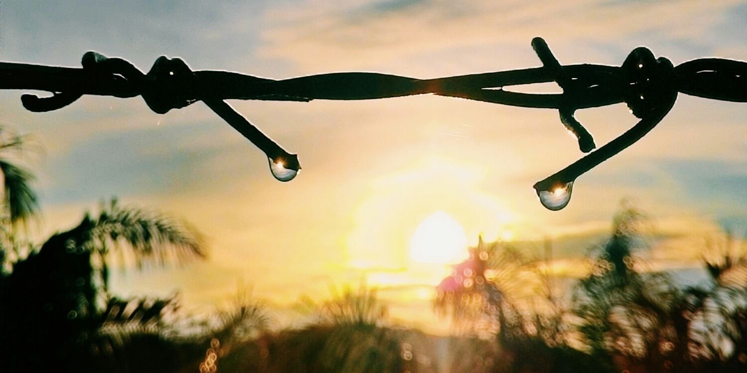 algadelimaputra banner