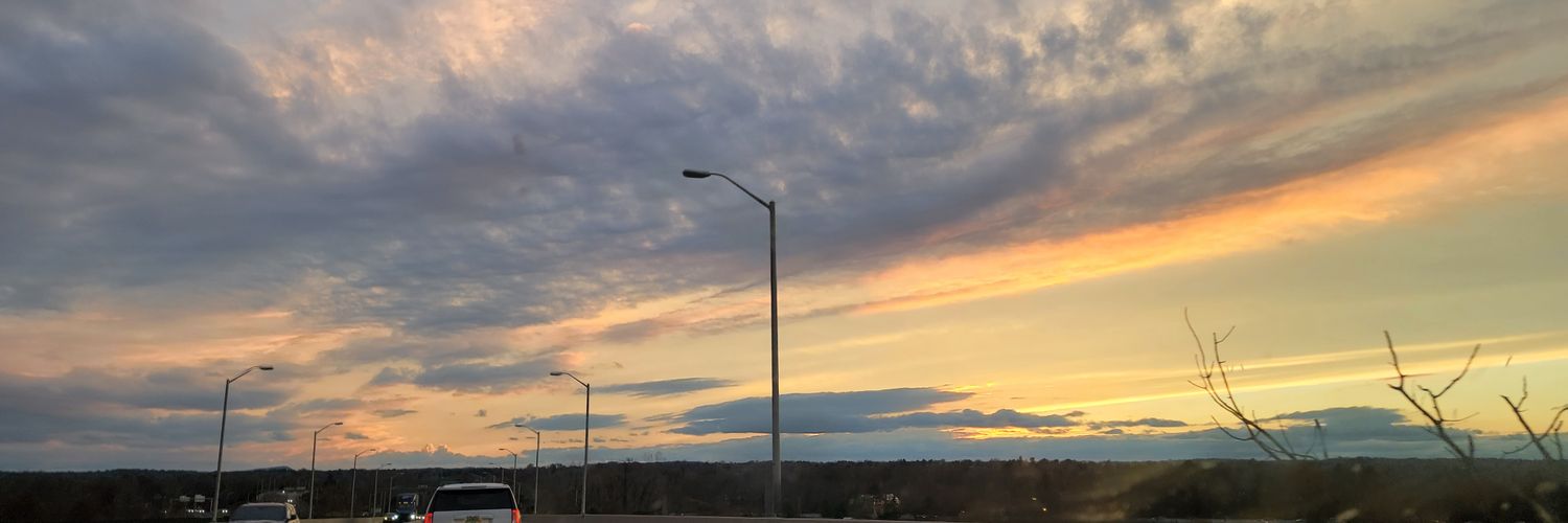 David Traskos banner