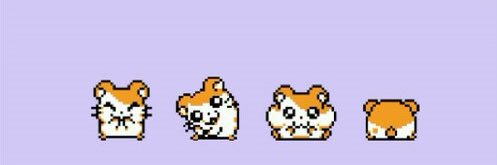 Mollyolly17's profile banner image