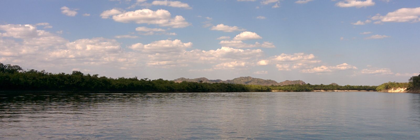 Pedro E. Fontanive banner