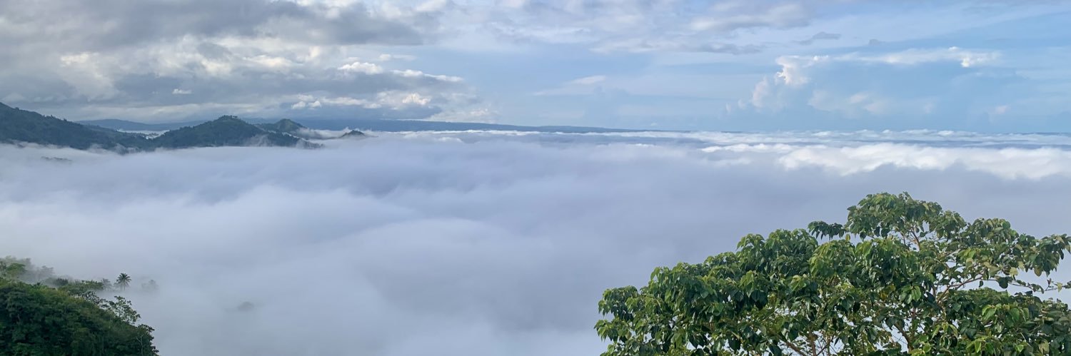 ysmkim's profile banner image