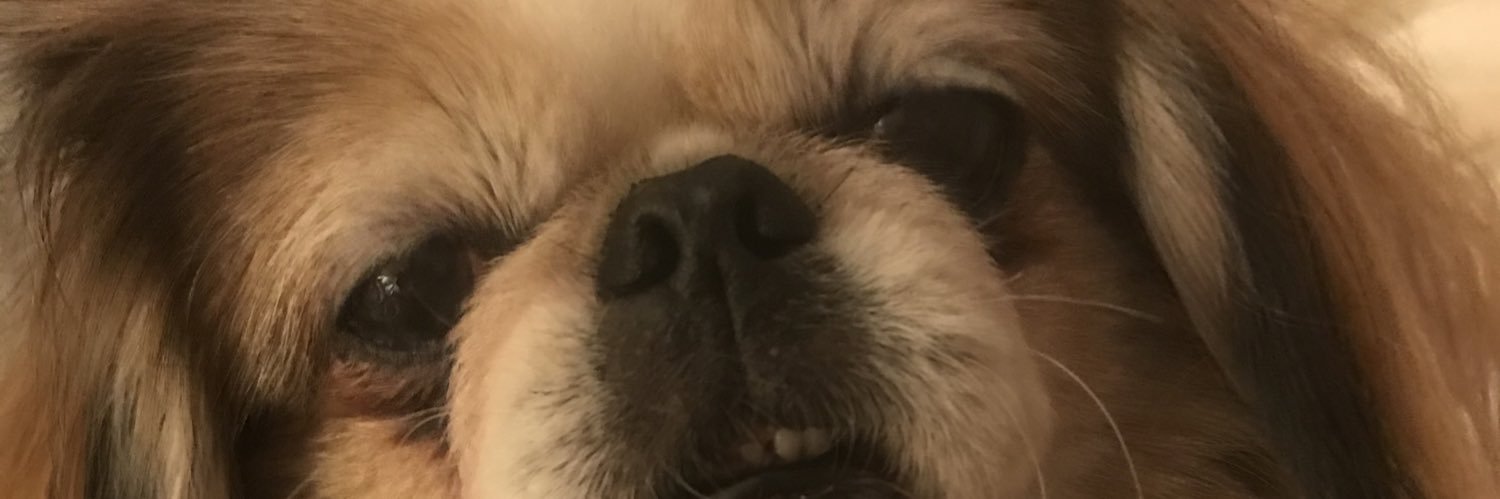 bethsline's profile banner image