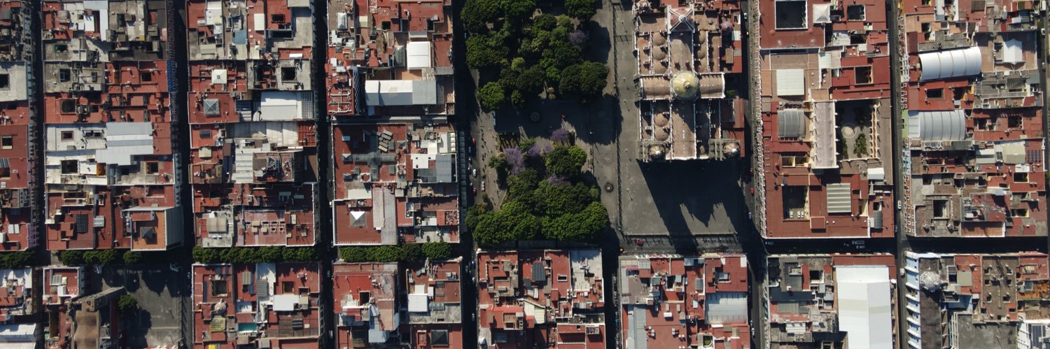 Berenice Vidal banner