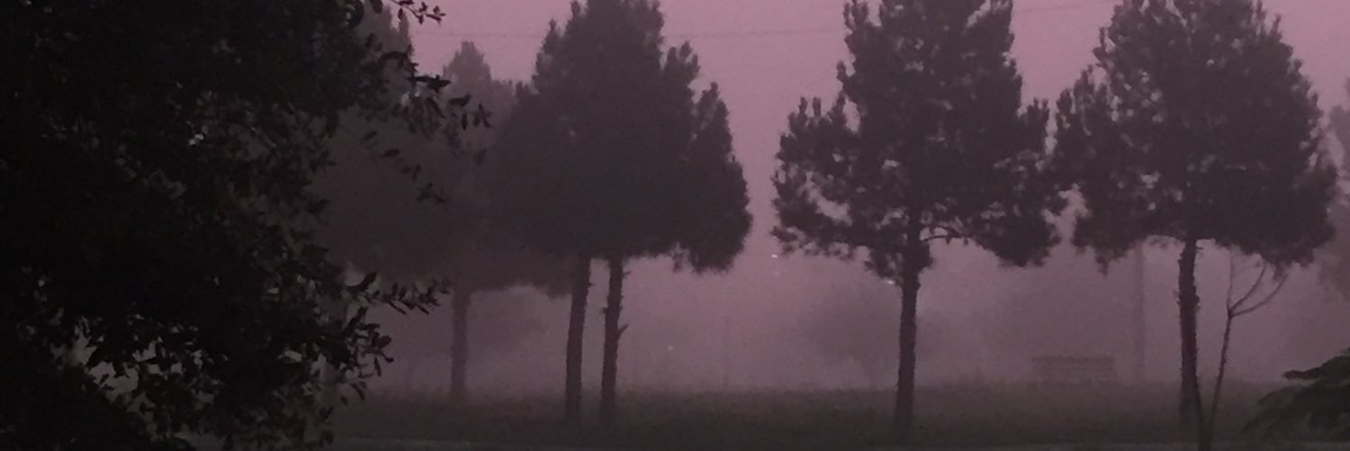 wendyjdo's profile banner image