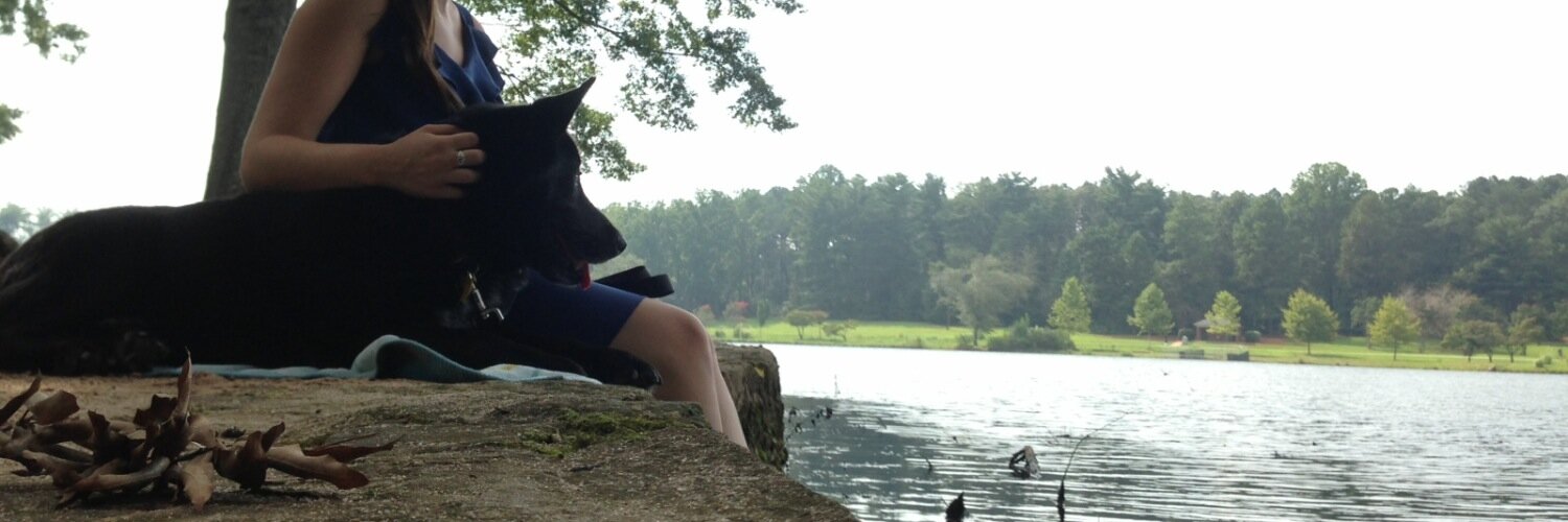 KellyDesseyn's profile banner image