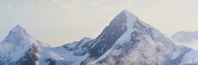 yes_polly's profile banner image