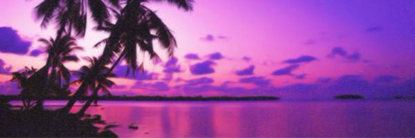 jarradLabarrie Profile Banner