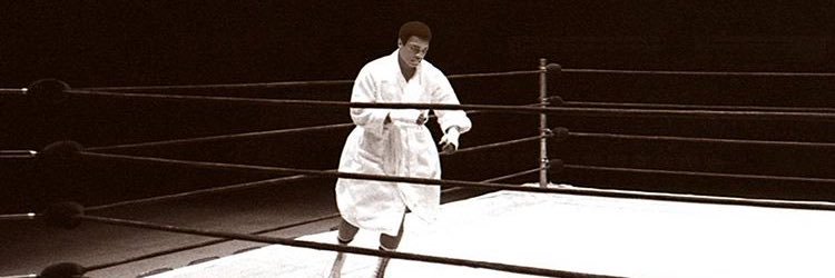 RealDanG1's profile banner image