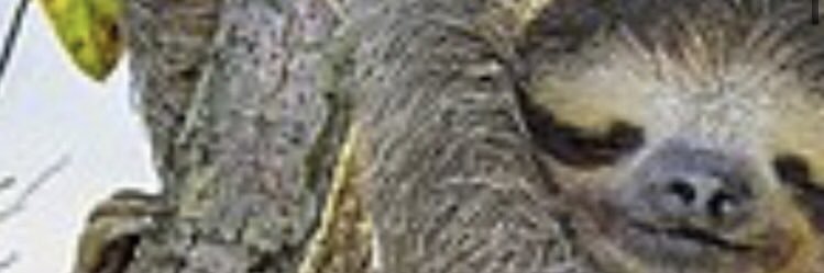 altan_cinar's profile banner image
