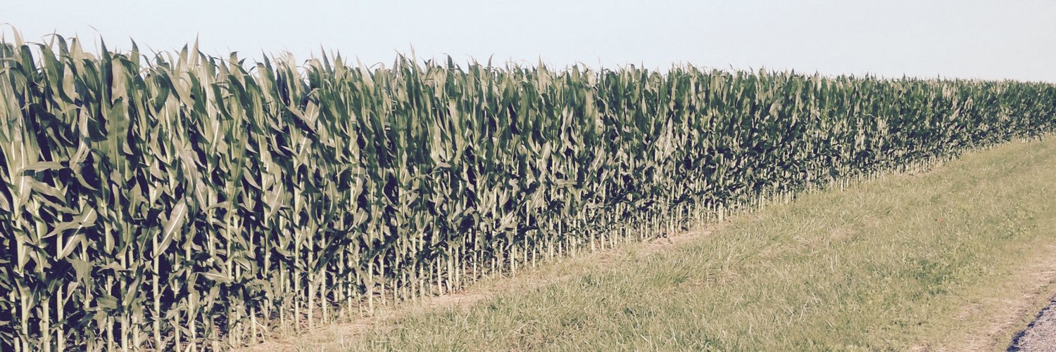 Tylerhelgen's profile banner image