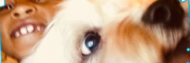 ShekinahBg's profile banner image