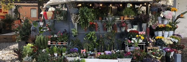 janellejank Profile Banner