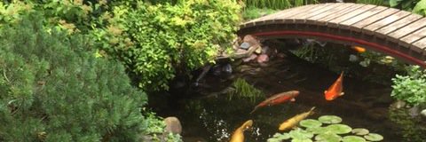 pondtrade's profile banner image