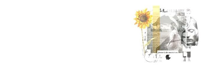 vannsrx's profile banner image