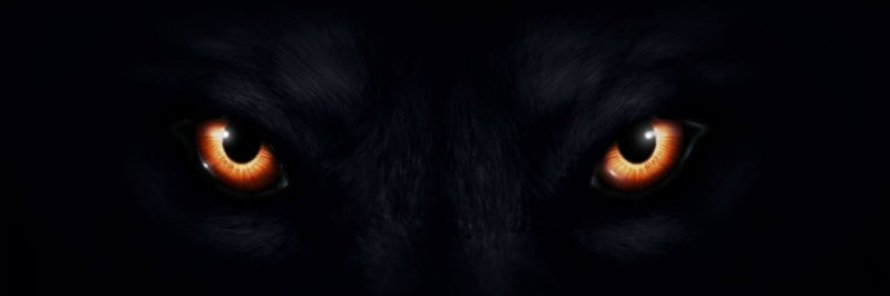 byates31's profile banner image
