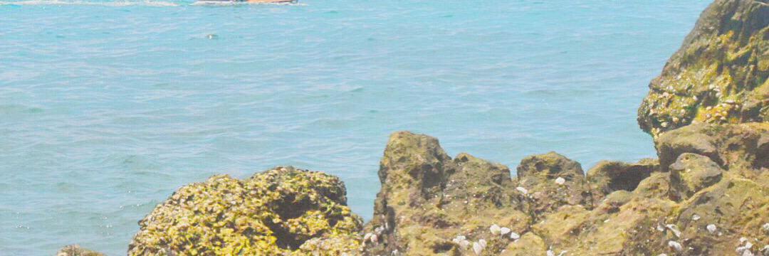 nutthoi's profile banner image
