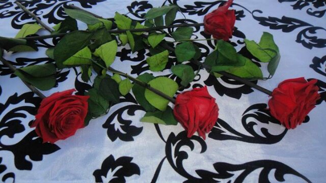 17kinka17's profile banner image
