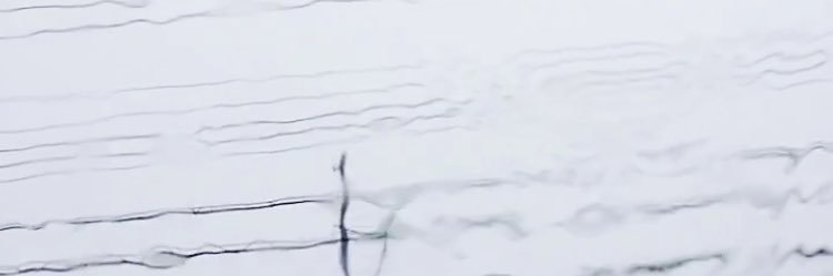 ss_lipton's profile banner image