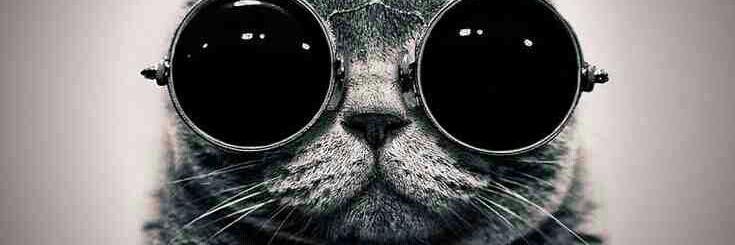 rif_mr's profile banner image