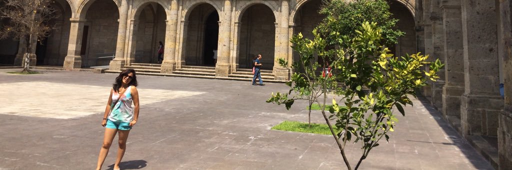 Diana Cardoso Cruz banner