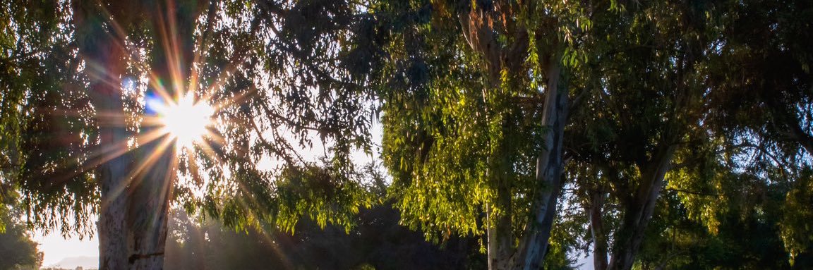 حُب ࿐ 🕊 banner