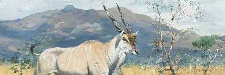 RichmoreChiteve's profile banner image