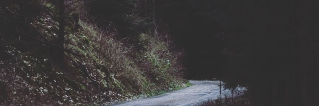 Lafingida's profile banner image