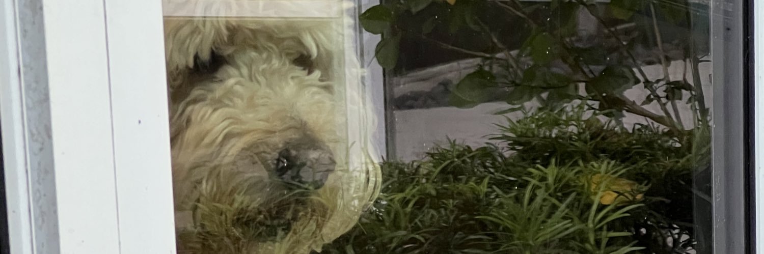 fourmurphys's profile banner image