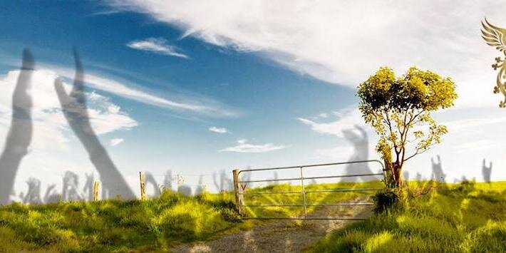 SpringDayMusic banner