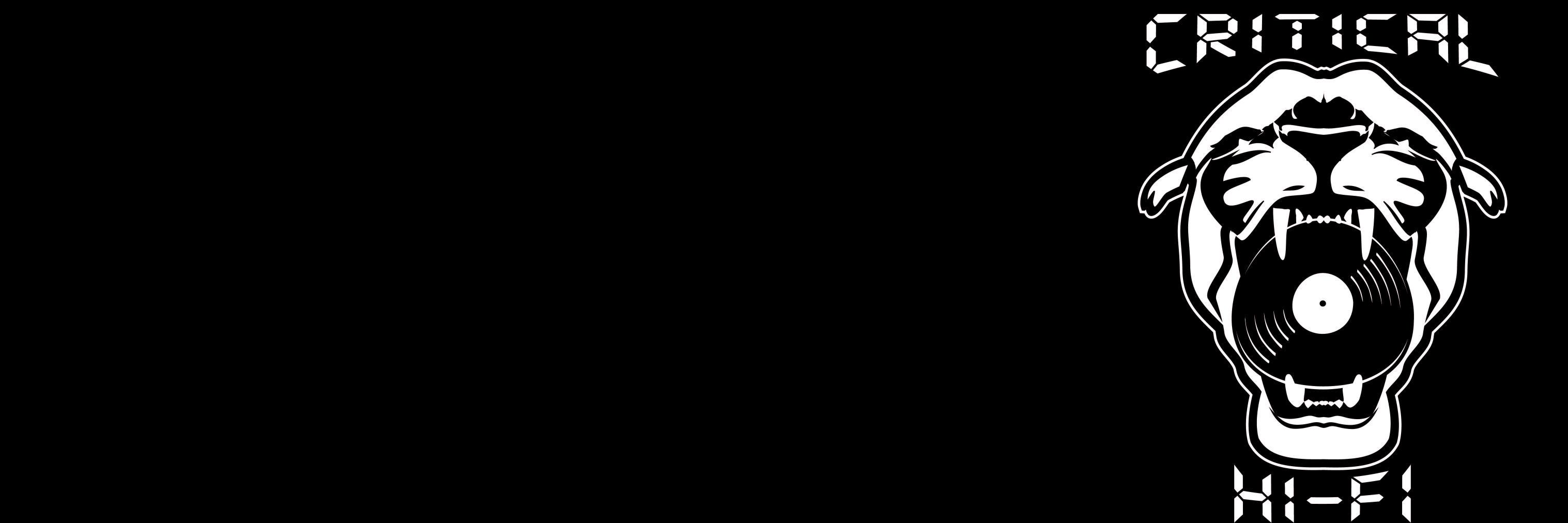 Criticalhifi's profile banner image