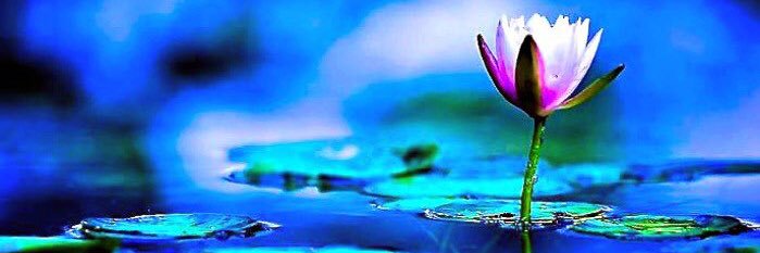 Namasté ॐ Om banner