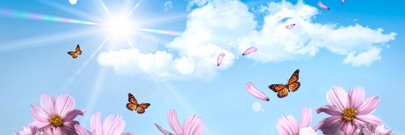 Trailer_Arena's profile banner image