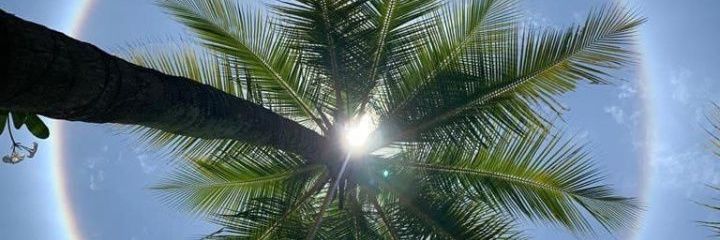 SelvamAskme's profile banner image