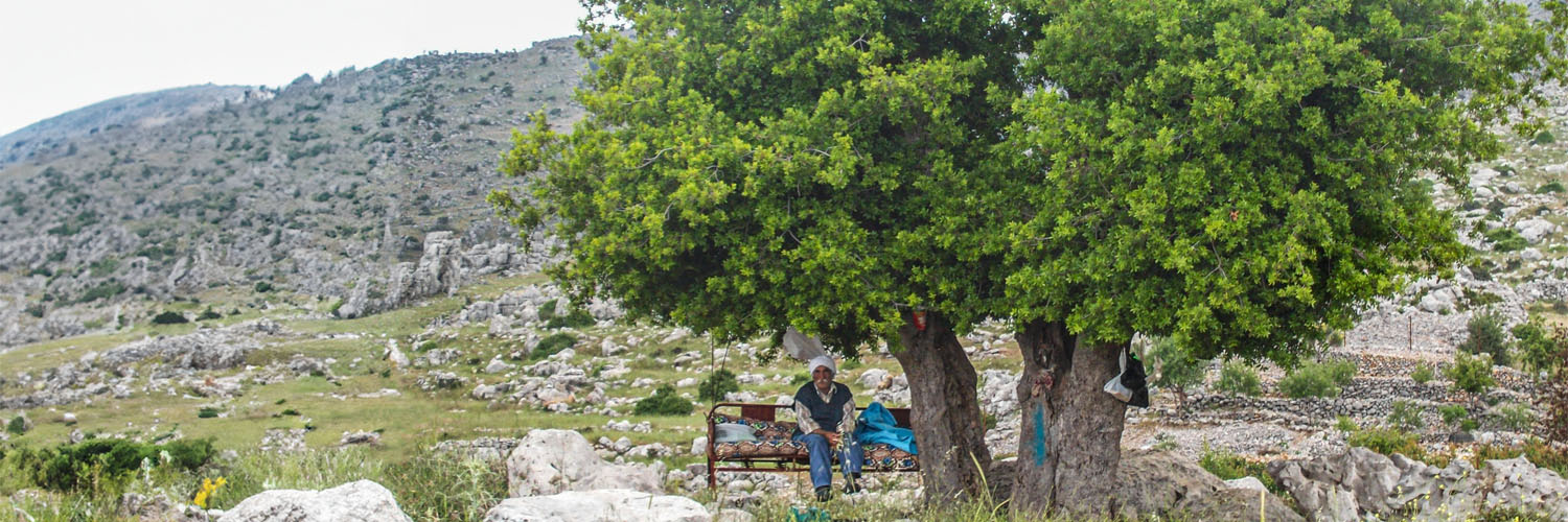 Mediterranean Forest Week banner