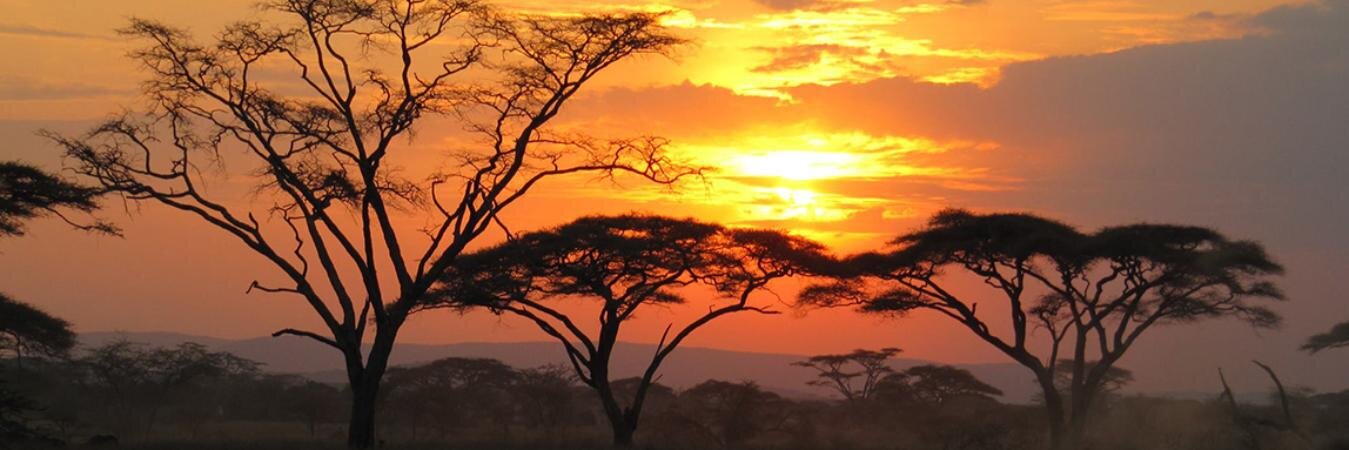 AfricanTravelsN's profile banner image