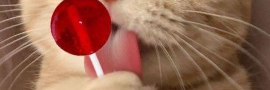 Josh Omari 🇳🇬 banner